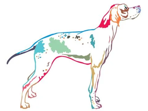 Colorful decorative standing portrait of Pointer vector illustration Stock Illustration