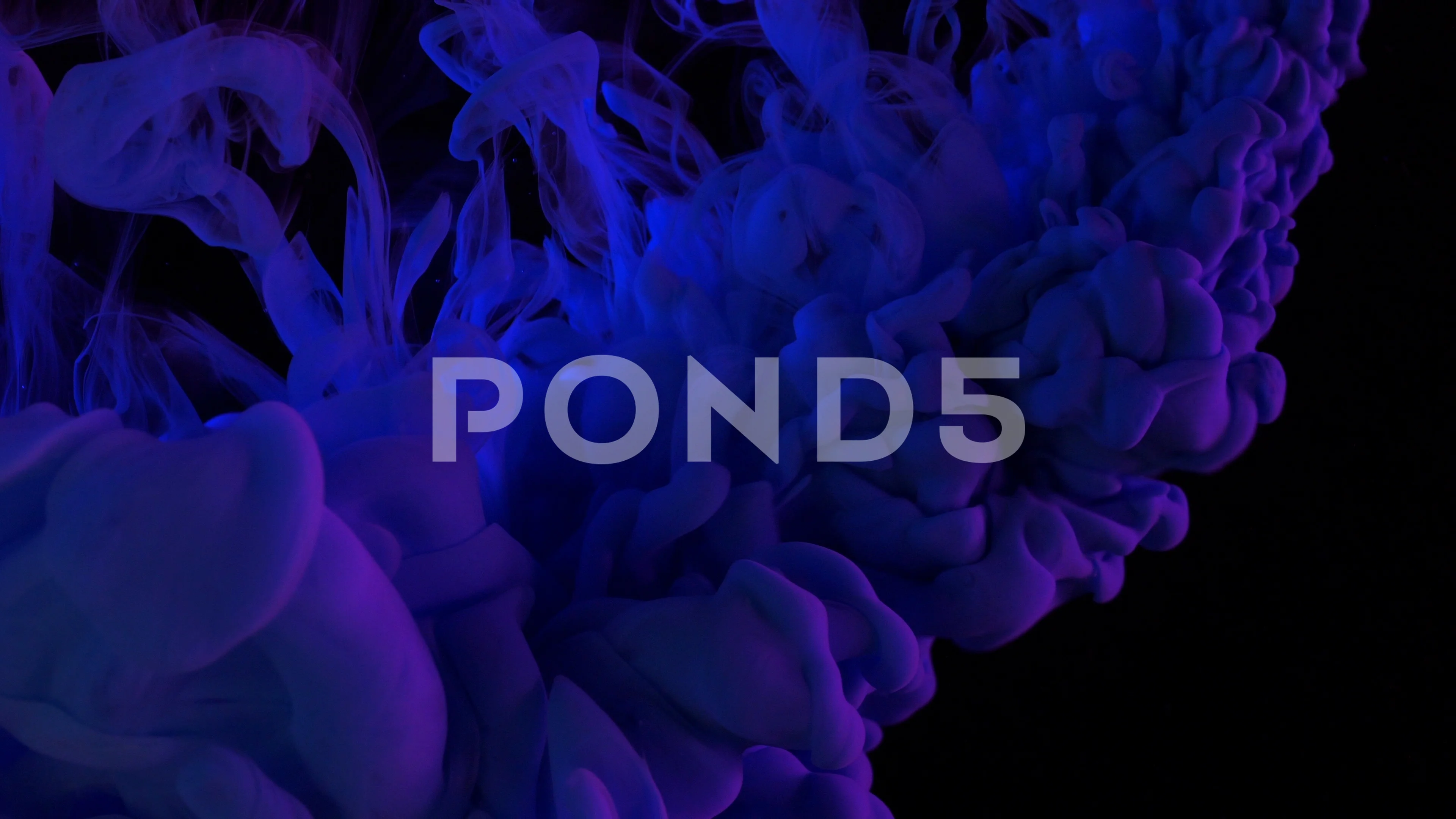 Colorful Deep Purple Paint Mixing In Water Cloud Of Silky Violet Colorful Deep Purple Paint Mixing In Water Cloud Of Silky Violet With Footage 94928463