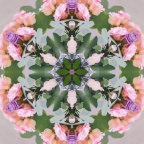 Colorful design pattern concept, Seamless geometry Circle Kaleidoscope Stock Footage 227527067