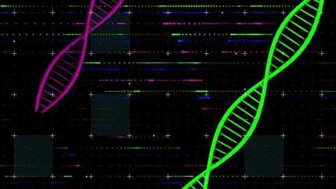 Colorful digital coding animation of DNA strands on black background Stock-Footage 303609098