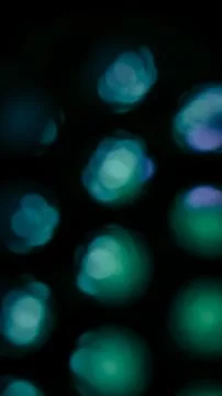 Colorful Digital Light Background with Mesh Texture-64 イラスト素材