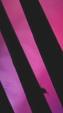 Colorful Digital Light Background with Mesh Texture-01 イラスト素材