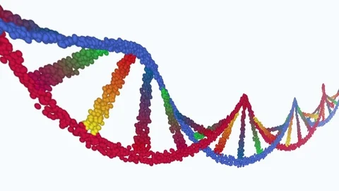 Colorful dna element Stock Footage 80368153