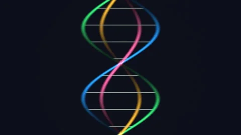 Colorful DNA strand on dark background in a creative Stock Footage 338075209