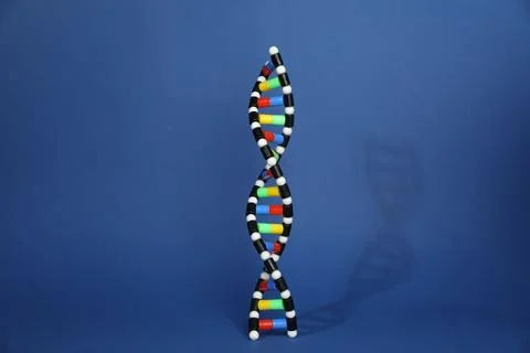 Colorful DNA structure model on blue background Stock Photos