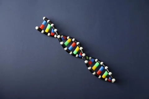 Colorful DNA structure model on dark blue background, top view Stock Photos
