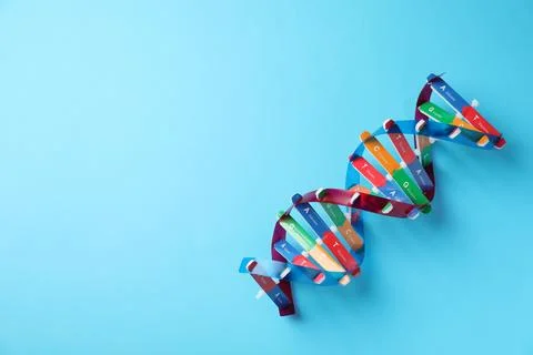 Colorful DNA structure model on light blue background, top view. Space for te Stock Photos