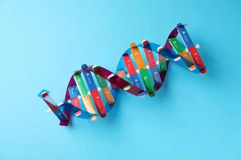 Colorful DNA structure model on light blue background, top view Stockfoto's