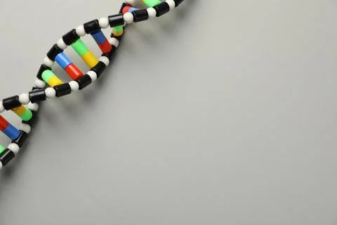 Colorful DNA structure model on light grey background, top view. Space for te Stock Photos