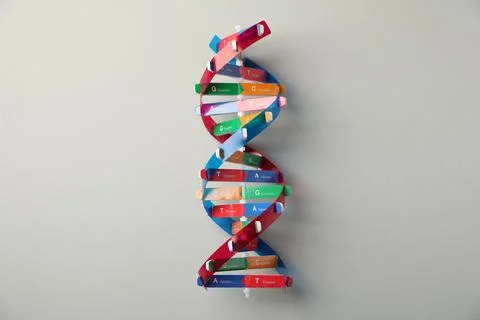 Colorful DNA structure model on light grey background, top view Stock Photos
