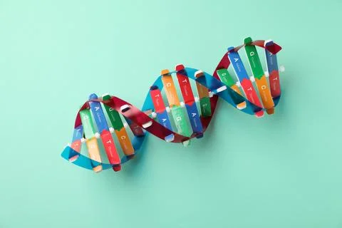 Colorful DNA structure model on turquoise background, top view Stockfoto's