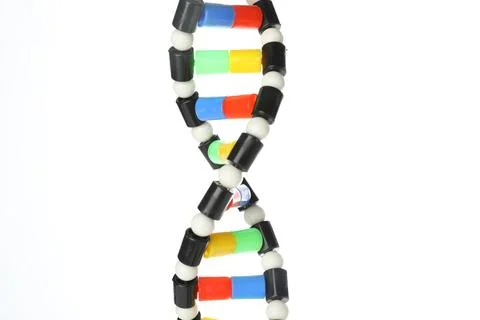 Colorful DNA structure model on white background 스톡 사진