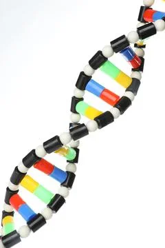 Colorful DNA structure model on white background Stock Photos
