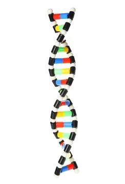 Colorful DNA structure model on white background 写真素材