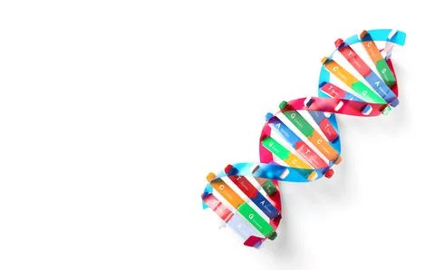 Colorful DNA structure model on white background, top view. Space for text Stock Photos