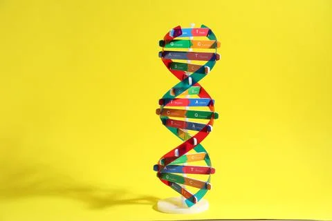 Colorful DNA structure model on yellow background 스톡 사진