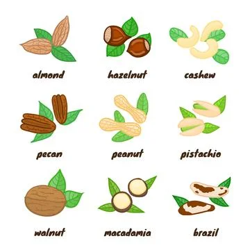 Colorful doodle nuts set. Stock Illustration