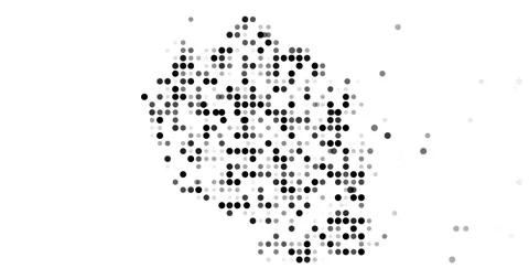 Colorful Dot Pattern Emerging as Tanzania Country Silhouette Animation Stock Footage 315555114