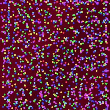 Colorful dots design pattern abstract image for multipurpose use Stock Illustration