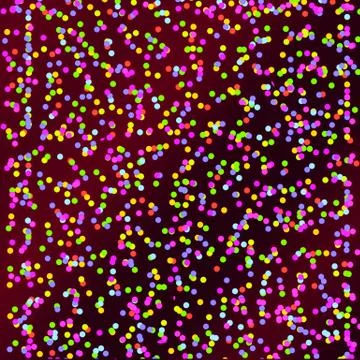 Colorful dots design pattern abstract image for multipurpose use Stock Illustration