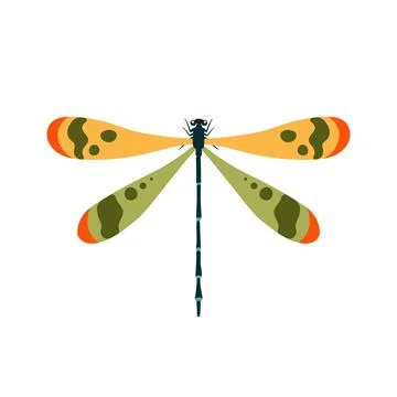 Colorful dragonfly with patterned wings top view vector illustration isolated Stock Illustration