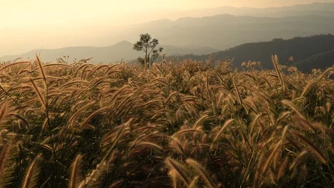 Colorful dramatic sky with cloud at sunset in the mountains Stock Footage 120820031