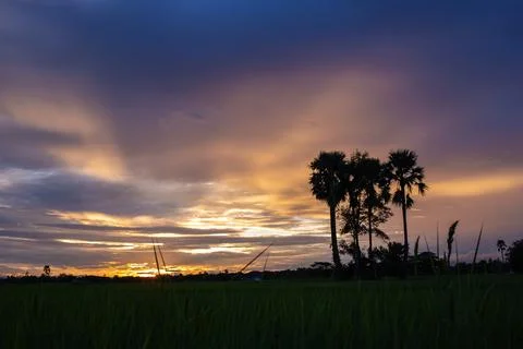 Colorful dramatic sky with cloud at sunset.Sky with sun background Stock Photos