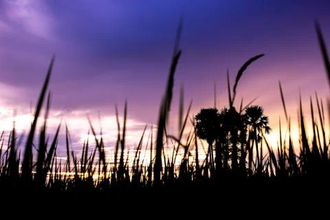 Colorful dramatic sky with cloud at sunset.Sky with sun background Stock Photos