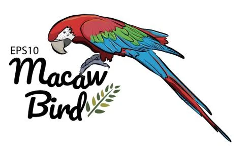 Colorful drawing Macaw bird  pattern background. Illustrazione stock