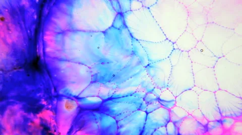 Colorful Droplets in Oil Stock Footage