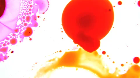 Colorful Droplets in Oil Stock Footage