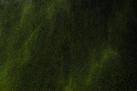 Colorful dust explode at black background. Celebrate Indian Holi festival of  Stock Photos