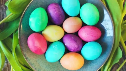 Colorful dyed Easter eggs in bowl with tulip flowers around Stock Footage 239664889
