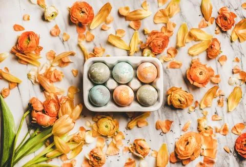 Colorful dyed Easter eggs over blossom orange flowers on marble Stock Photos
