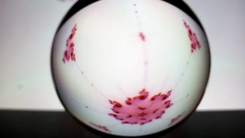 Colorful dynamics of space abstraction. View through a crystal ball. Stock Footage 117505326