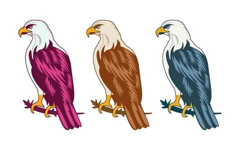 Colorful Eagle collection vector Illustration. Stock Illustration