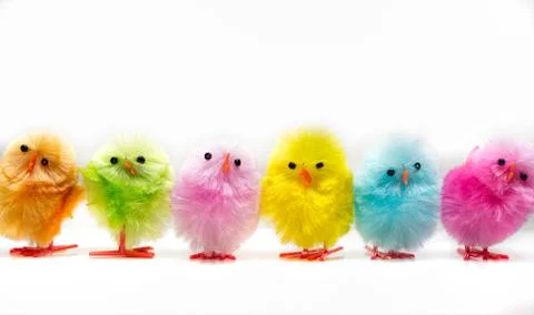 Colorful easter chicks Stock Photos