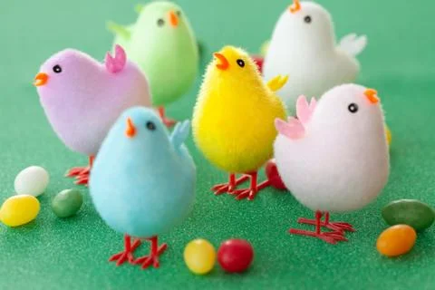 Colorful easter chicks Stock Photos