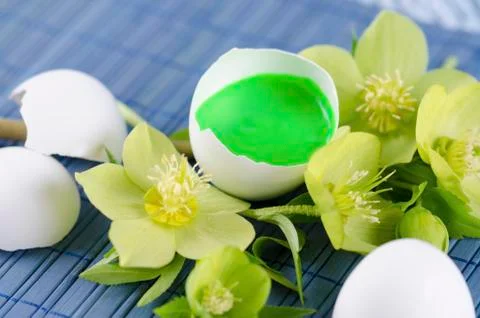 Colorful Easter decoration with egg shell filled with green tempera paint and Stock Photos