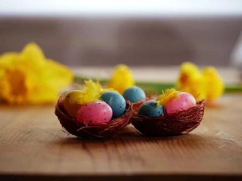 Colorful easter egg decorations on yellow daffodil background 스톡 일러스트
