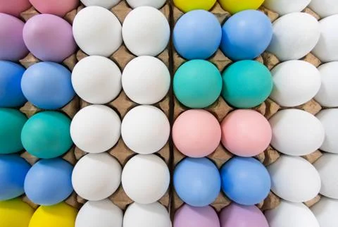 Colorful Easter egg in egg crate background pattern, flat lay view on a wide Stock Photos