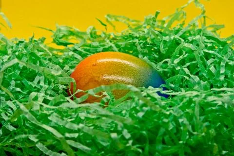 Colorful easter egg in green easter nest Stock Photos