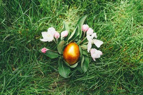 Colorful Easter egg. Hunting for Easter eggs Stock Photos