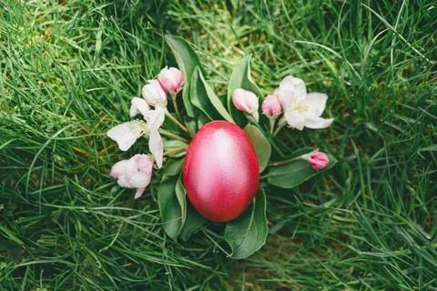 Colorful Easter egg. Hunting for Easter eggs Stock Photos