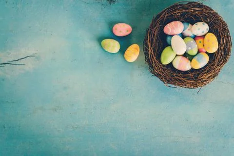 Colorful easter egg in the nest on blue pastel color wood background with s.. Stock Photos
