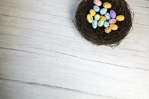 Colorful Easter Egg Nest with Extra White or Gray Wood Board Background for room Stock Photos