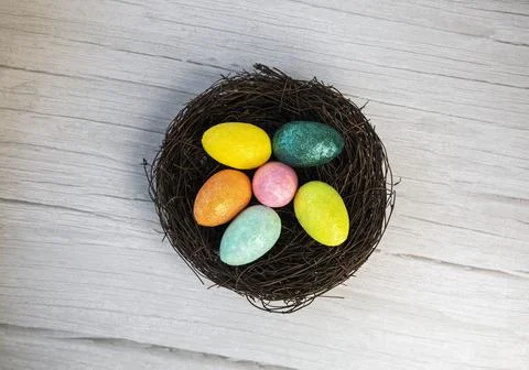 Colorful Easter Egg Nest with Extra White or Gray Wood Board Background for room Stock Photos