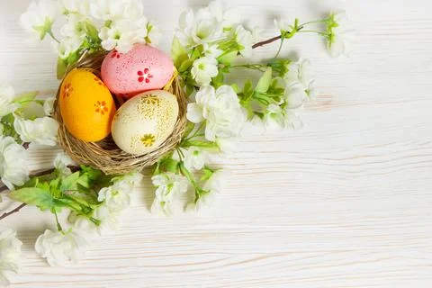 Colorful easter egg in nest Stock Photos
