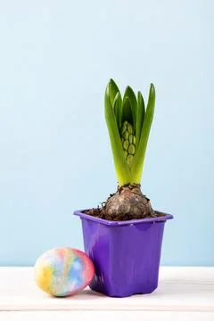 Colorful Easter egg Stock Photos