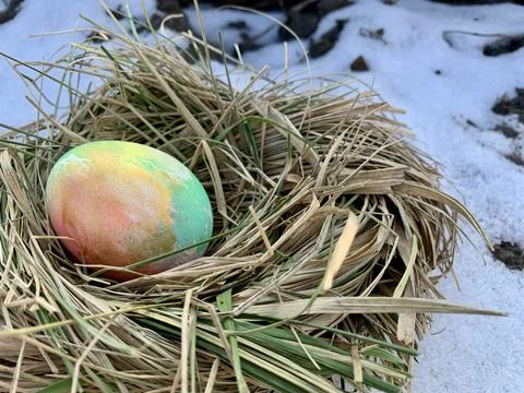 A colorful Easter egg rests carefully in a nest made of dried grass, located on Foto stock